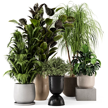  Green Oasis: Indoor Plants in Ferm Living Bau Pot 3D model image 1 