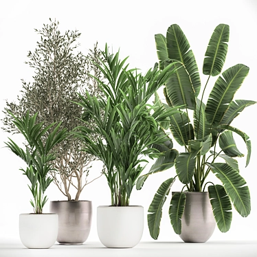 Exotic Plant Collection in White Pot 3D model image 1 