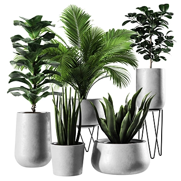 Modern Indoor Plant Set: 3D Model 3D model image 1 