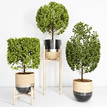 Title: Versatile Indoor-outdoor Plant 3D model image 1 