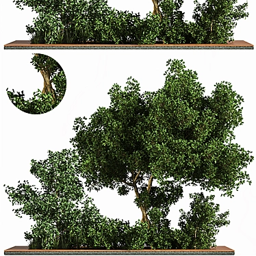 Grass & Tree Garden Set 3D model image 1 