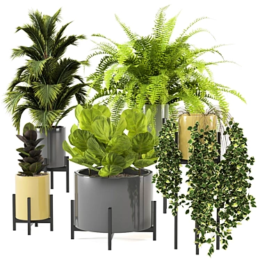 Modern Indoor Plants in Bau Pot Set 3D model image 1 