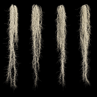 3D Max Spanish Moss Set 3D model image 1 