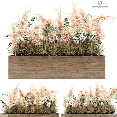 Elegant Pampas Plant: Indoor Beauty 3D model image 1 