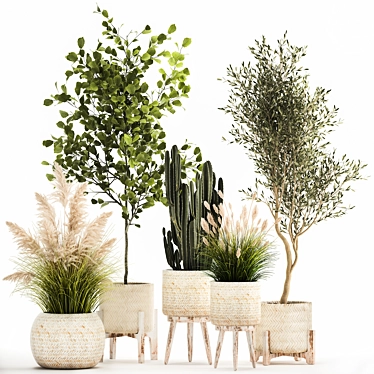 Decorative Plant Collection: Indoor and Outdoor Exotics 3D model image 1 