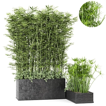 Rustic Concrete Pot with Outdoor Bamboo 3D model image 1 