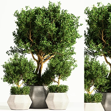 Indoor Tree: Potted Greenery for Any Space 3D model image 1 