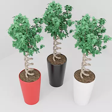 Exotic Pot Plant: Vibrant and Versatile 3D model image 1 