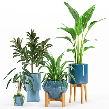 Green Oasis Indoor Plant Set 3D model image 1 