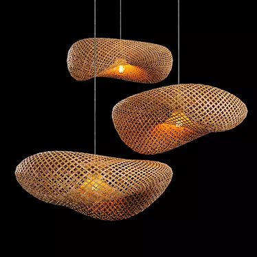 Translucent Rattan Pendant Lights 3D model image 1 