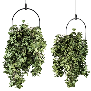 Blossom Oasis: Indoor Hanging Plant Set 3D model image 1 