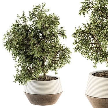 Indoor Plant Set: Variety in Pots 3D model image 1 