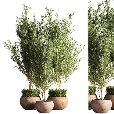 Outdoor Plant Set 09: Stylish and Sustainable Greenery 3D model image 1 