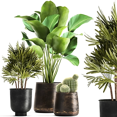 Tropical Plant Collection: Reclaimed Iron Pot, Exotics & Calathea 3D model image 1 