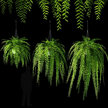 3D Hanging Fern - V-Ray Material, OBJ Format, 9 Textures, 3 Plant Varieties 3D model image 1 