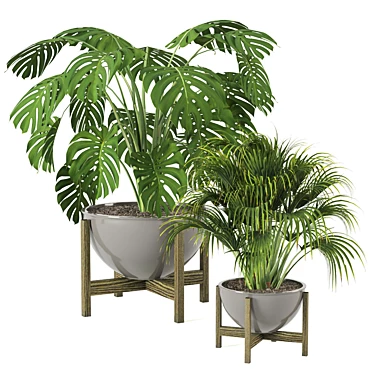 Minimalist Indoor Plants Set 3D model image 1 