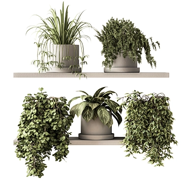 Green Living: Indoor Plant Set 3D model image 1 