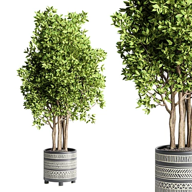 Handmade Pottery Ficus Benjamin Tree: Indoor Plant Collection 3D model image 1 