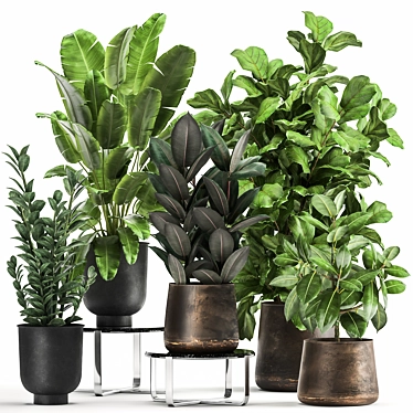 Exotic Plant Collection in Metal Pots 3D model image 1 