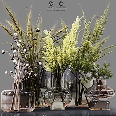 Collaction Indoor Plants: Stunning Detail & Quality 3D model image 1 
