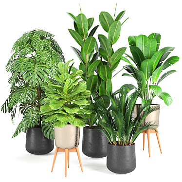 Houseplant Verdun Green