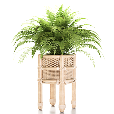 Natural Rattan Fern Pot 3D model image 1 