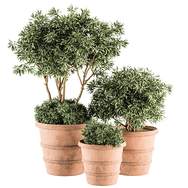 Vintage Pot Plant Set 3D model image 1 