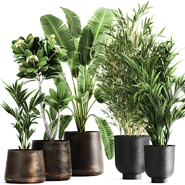 Tropical Oasis: Exotic Plants in Rustic Metal Pots 3D model image 1 