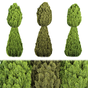 Premium Juniper Trees Collection - Vol. 30 3D model image 1 