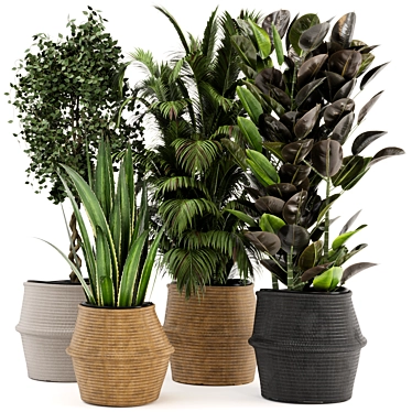Natural Beauty: Wicker Basket Indoor Plants 3D model image 1 