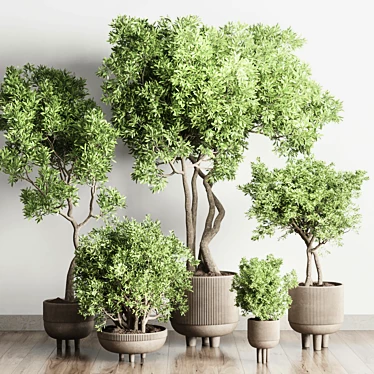 Concrete Pot Collection: Indoor Outdoor Plant Vase 3D model image 1 