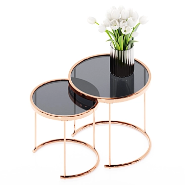 Rose Gold Glass Top Tables 3D model image 1 