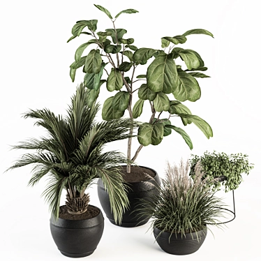 Lush Greenery Indoor Plant Set 3D model image 1 