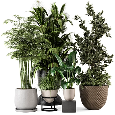 Rustic Concrete Pot Indoor Plants 3D model image 1 