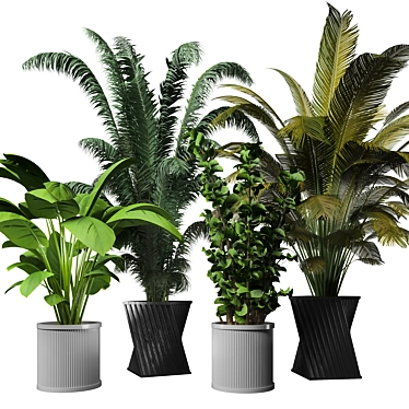 Sleek Indoor Plant Collection 3D model image 1 