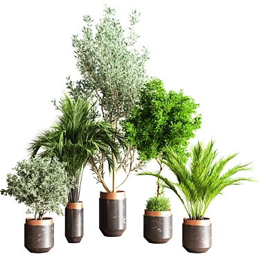 Botanical Bliss Indoor Plant Set 3D model image 1 