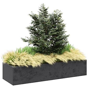 Set of Outdoor Plants 2  Beautiful Greenery for Your Outdoor Space 3D model image 1 