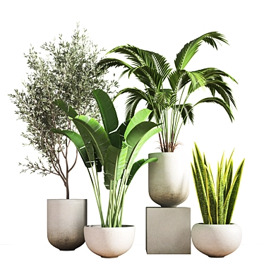 10-Piece Indoor Plant Set 3D model image 1 