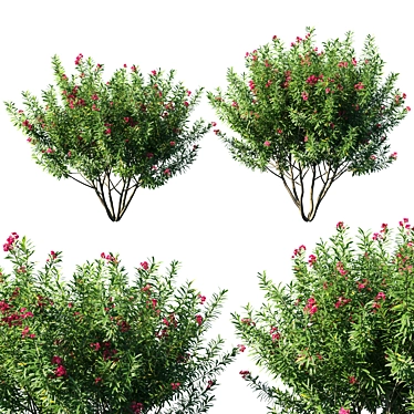 Elegant Oleander Collection: 2013 Millimeter Masterpiece 3D model image 1 