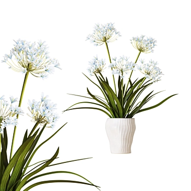 Outdoor Agapanthus Drop-In Plant 3D model image 1 