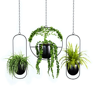 Botanical Bliss: Hanging Indoor Plant Set 3D model image 1 