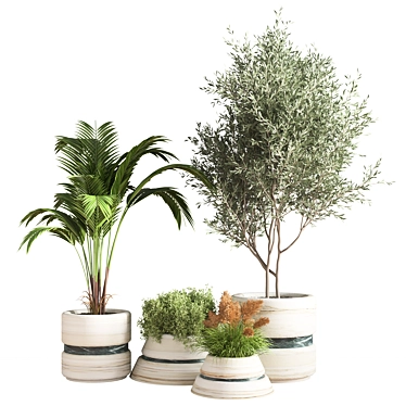 11-Piece Indoor Plant Set 3D model image 1 