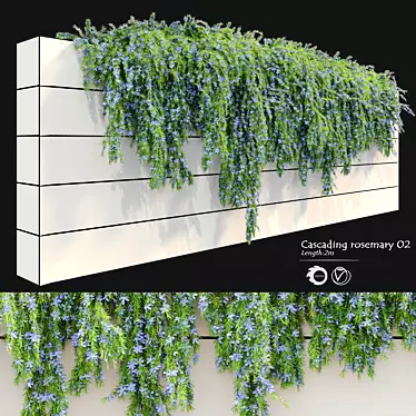 2m Cascading Rosemary: Lush & Fragrant 3D model image 1 