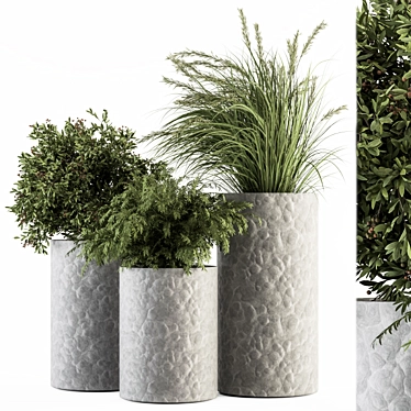 Concrete Pot Plant Set 3D model image 1 