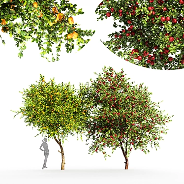 Fruity 2Tree Pair: Apple & Tangerine 3D model image 1 