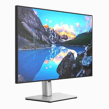 Dell UltraSharp 24" LCD Monitor 3D model image 1 