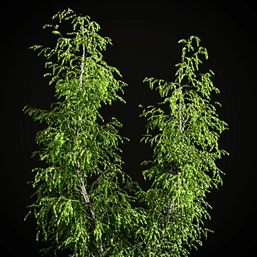 Elegant Birch Tree Mural 3D model image 1 