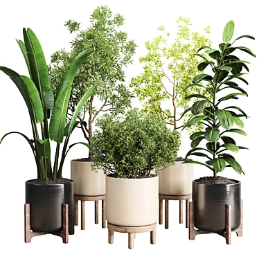 Wooden Vase Collection for Indoor Plant 3D model image 1 
