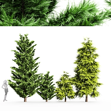 Elegant Leyland & Hinoki Cypress Trees 3D model image 1 