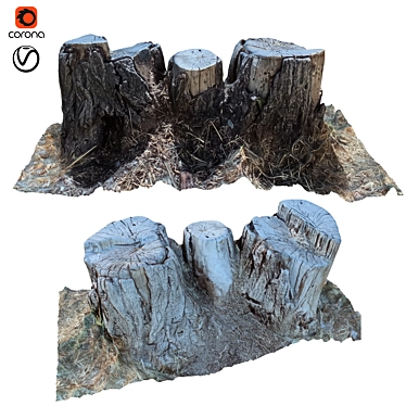 Natural Tree Trunk 24 3D model image 1 